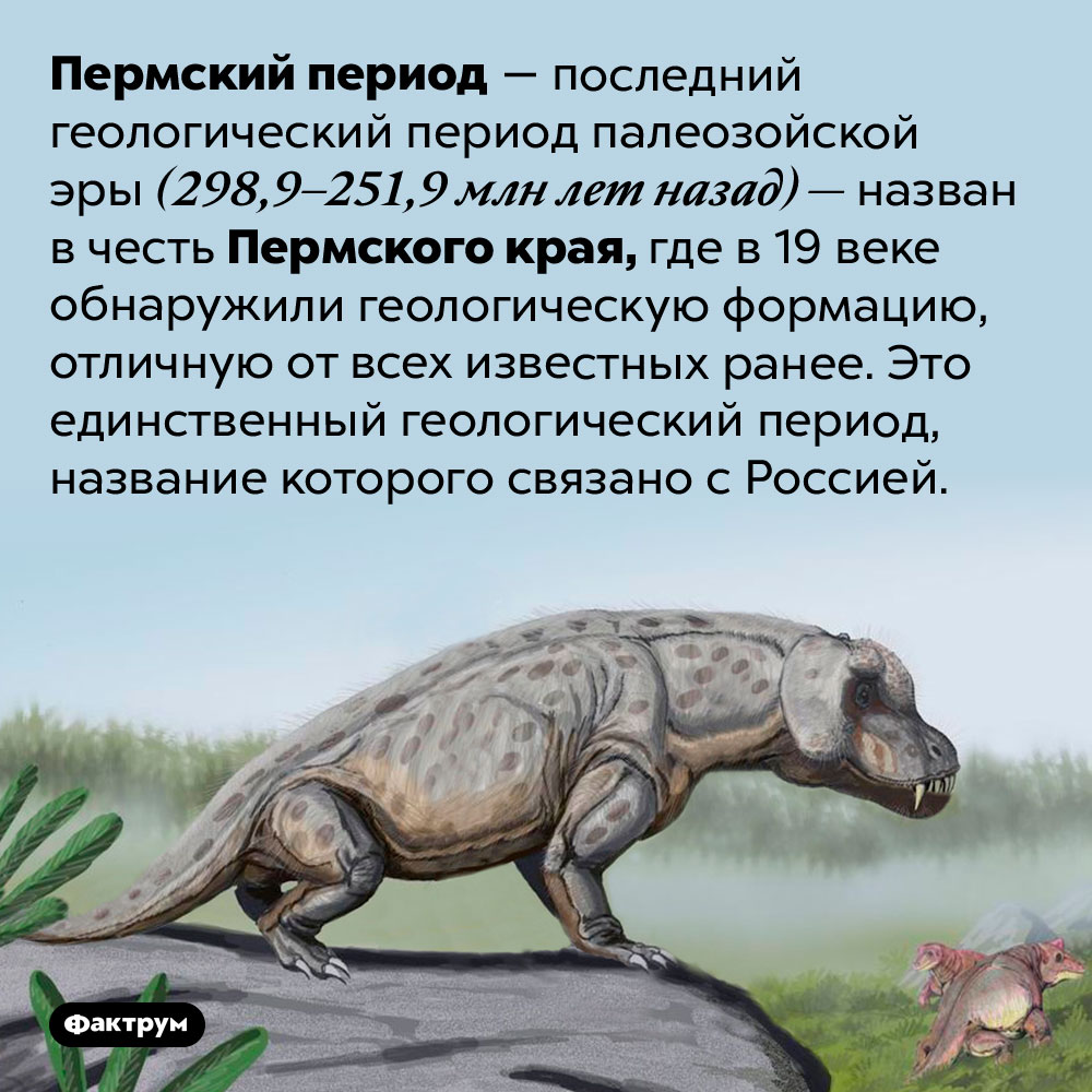 Пермский период и Пермский край