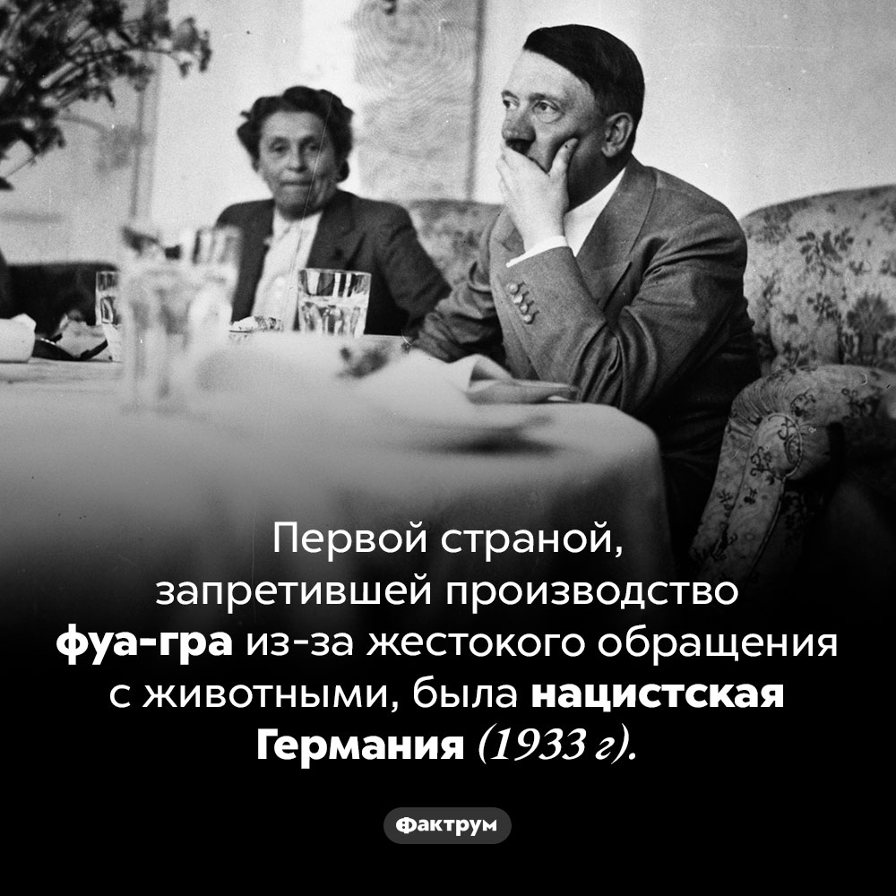 Фуа-гра и нацисты