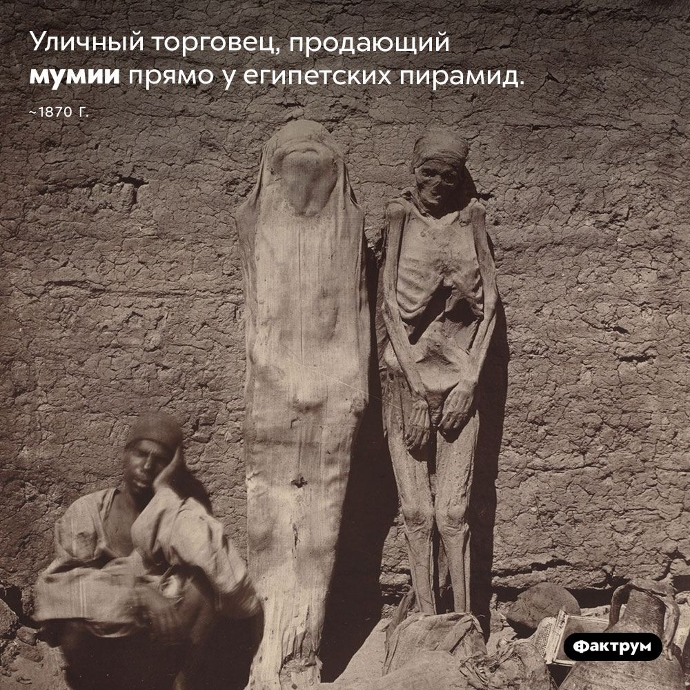 Торговля мумиями. Уличный торговец, продающий мумии прямо у египетских пирамид. ~1870 год.