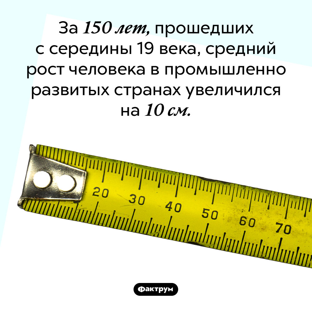 С 19 века люди существенно подросли