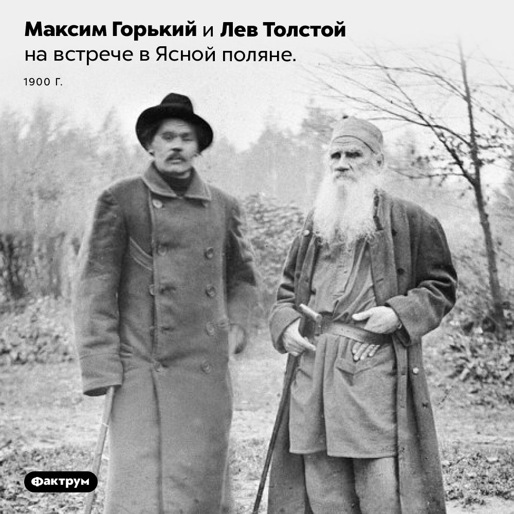 Толстой и Горький. Максим Горький и Лев Толстой на встрече в Ясной поляне. 1900 год.