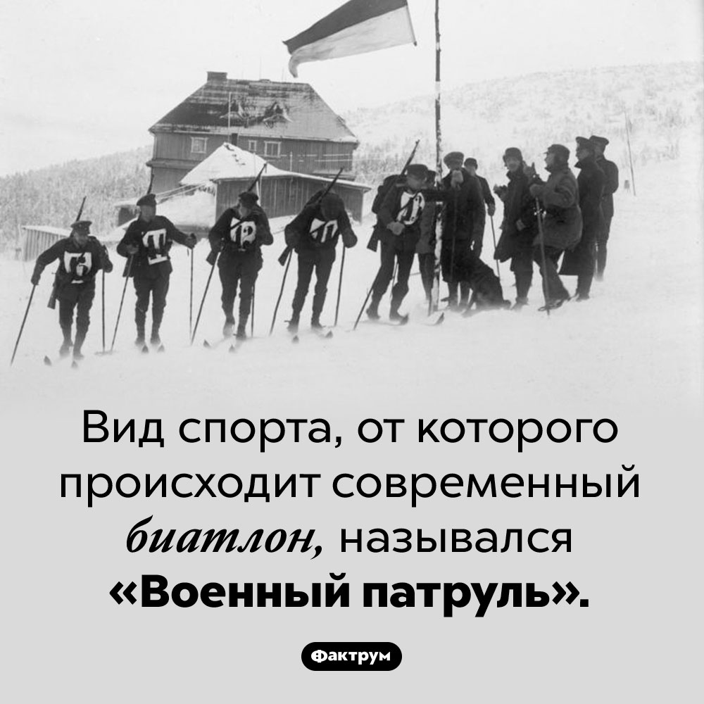 Военный патруль. Вид спорта, от которого происходит современный биатлон, назывался «Военный патруль».