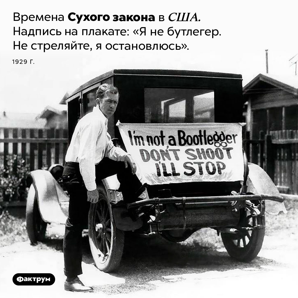 Не стреляйте, я остановлюсь. Времена Сухого закона в США. Надпись на плакате: «Я не бутлегер. Не стреляйте, я остановлюсь». 1929 год.