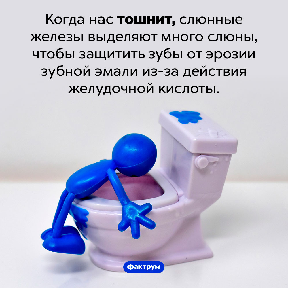 Почему, когда нас тошнит, выделяется много слюны