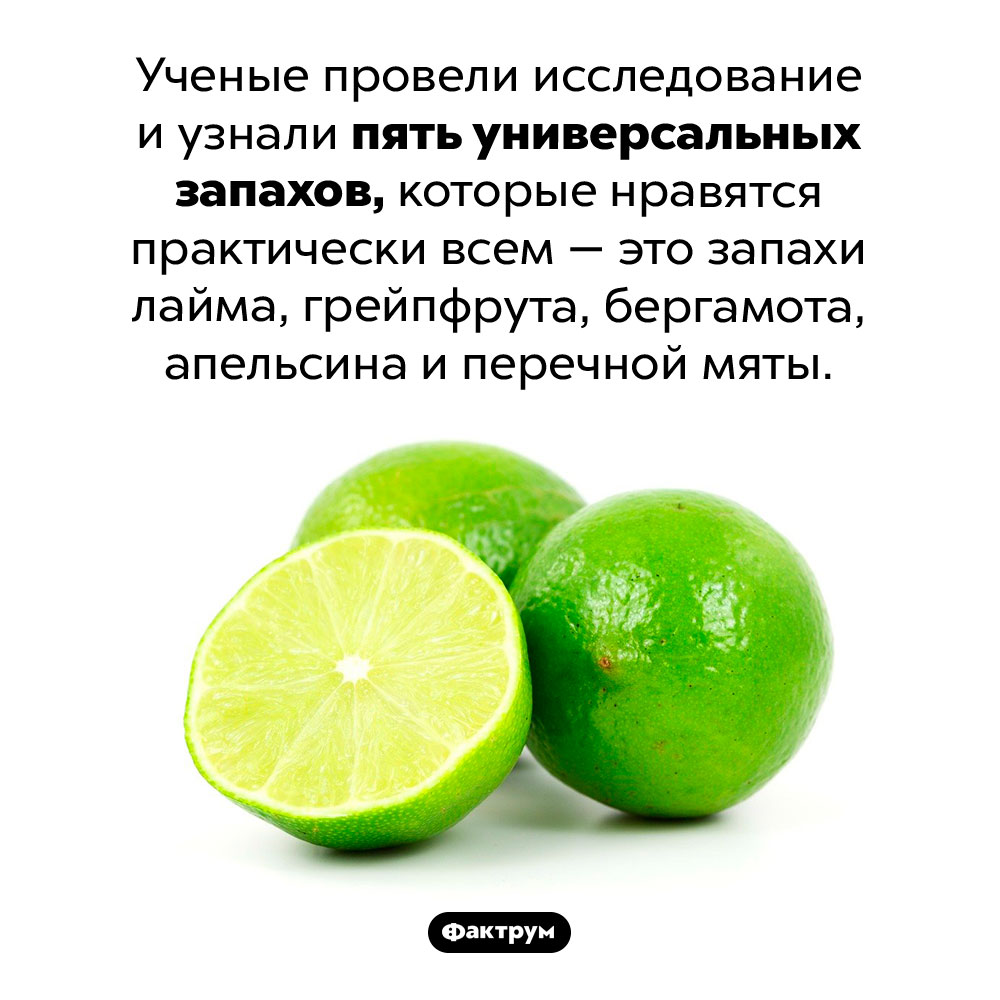 Запахи, которые нравятся всем. Ученые провели исследование и узнали пять универсальных запахов, которые нравятся практически всем — это запахи лайма, грейпфрута, бергамота, апельсина и перечной мяты. 