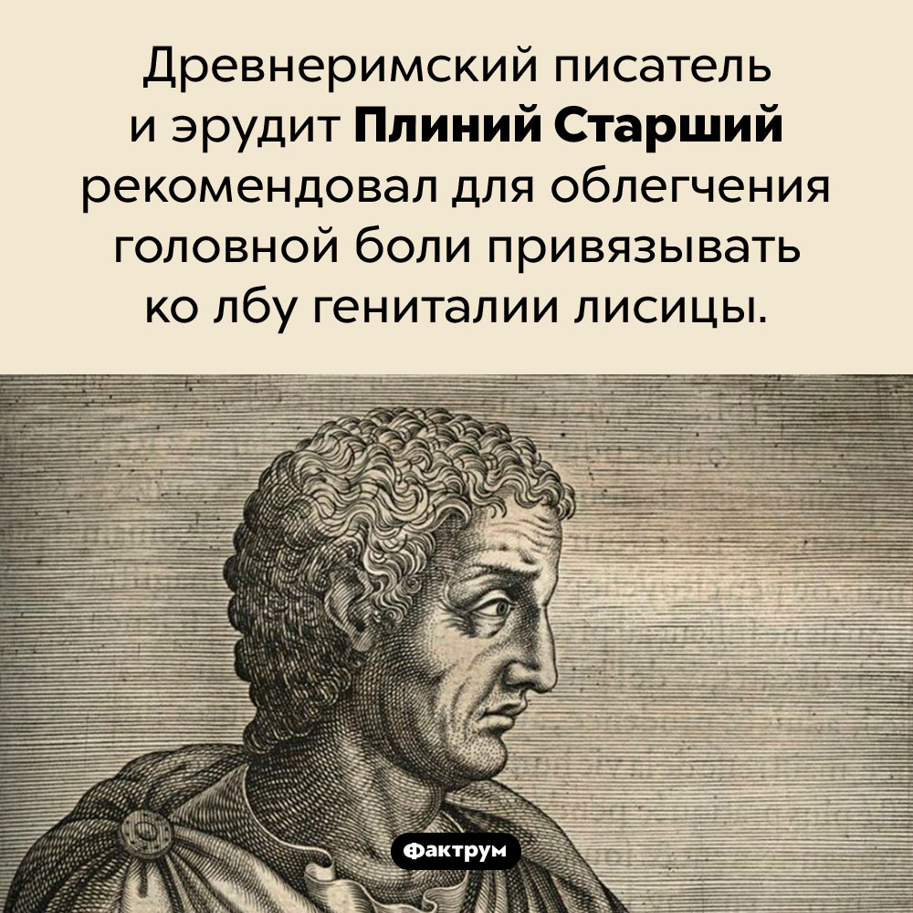 Гениталии лисицы как лекарство. Древнеримский писатель и эрудит Плиний Старший рекомендовал для облегчения головной боли привязывать ко лбу гениталии лисицы.