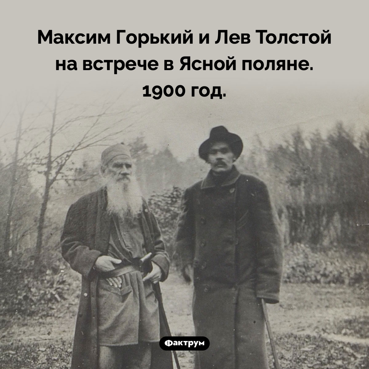 Толстой и Горький. Максим Горький и Лев Толстой на встрече в Ясной поляне. 1900 год.