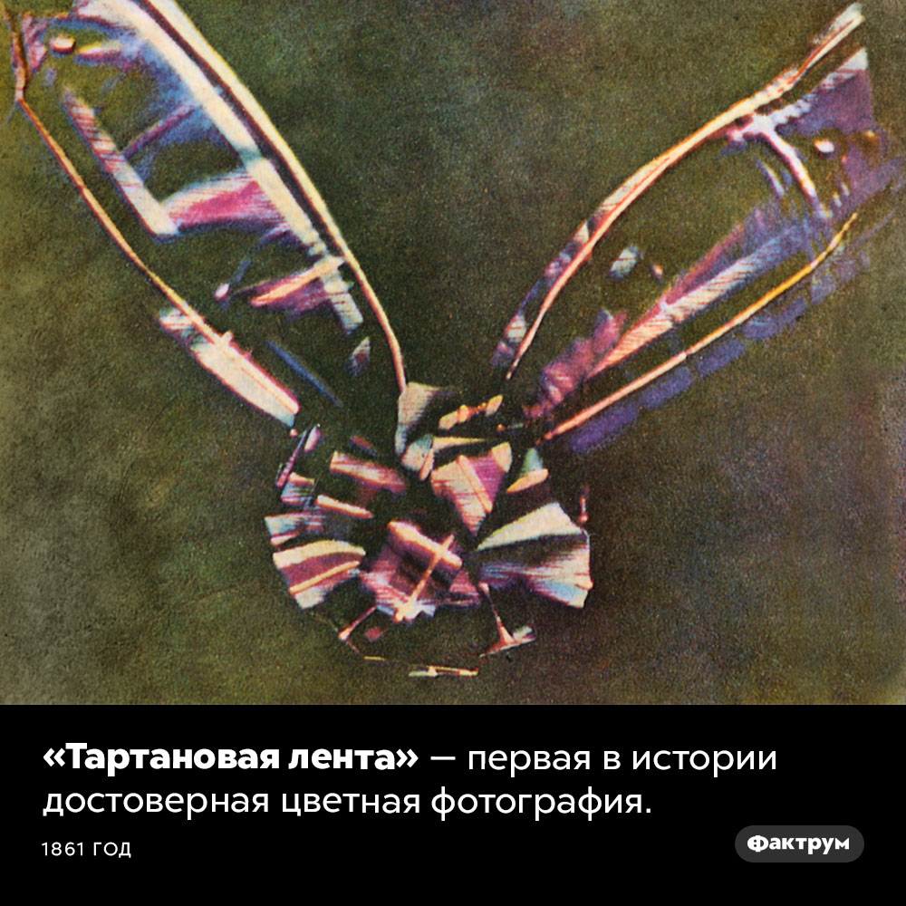 Первая цветная фотография. «Тартановая лента» — первая в истории достоверная цветная фотография. 1861 год.