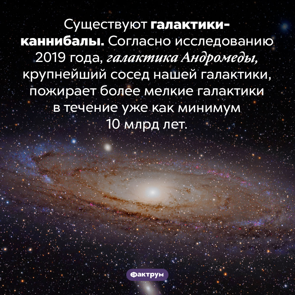 Галактики-каннибалы. Существуют галактики-каннибалы. Согласно исследованию 2019 года, галактика Андромеды, крупнейший сосед нашей галактики, пожирает более мелкие галактики в течение уже как минимум 10 млрд лет.