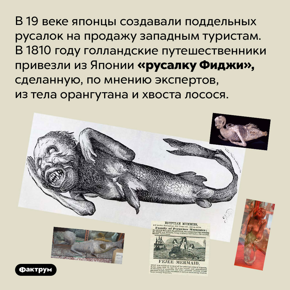 Японцы подделывали русалок. В 19 веке японцы создавали поддельных русалок на продажу западным туристам. В 1810 году голландские путешественники привезли из Японии «русалку Фиджи», сделанную, по мнению экспертов, из тела орангутана и хвоста лосося.