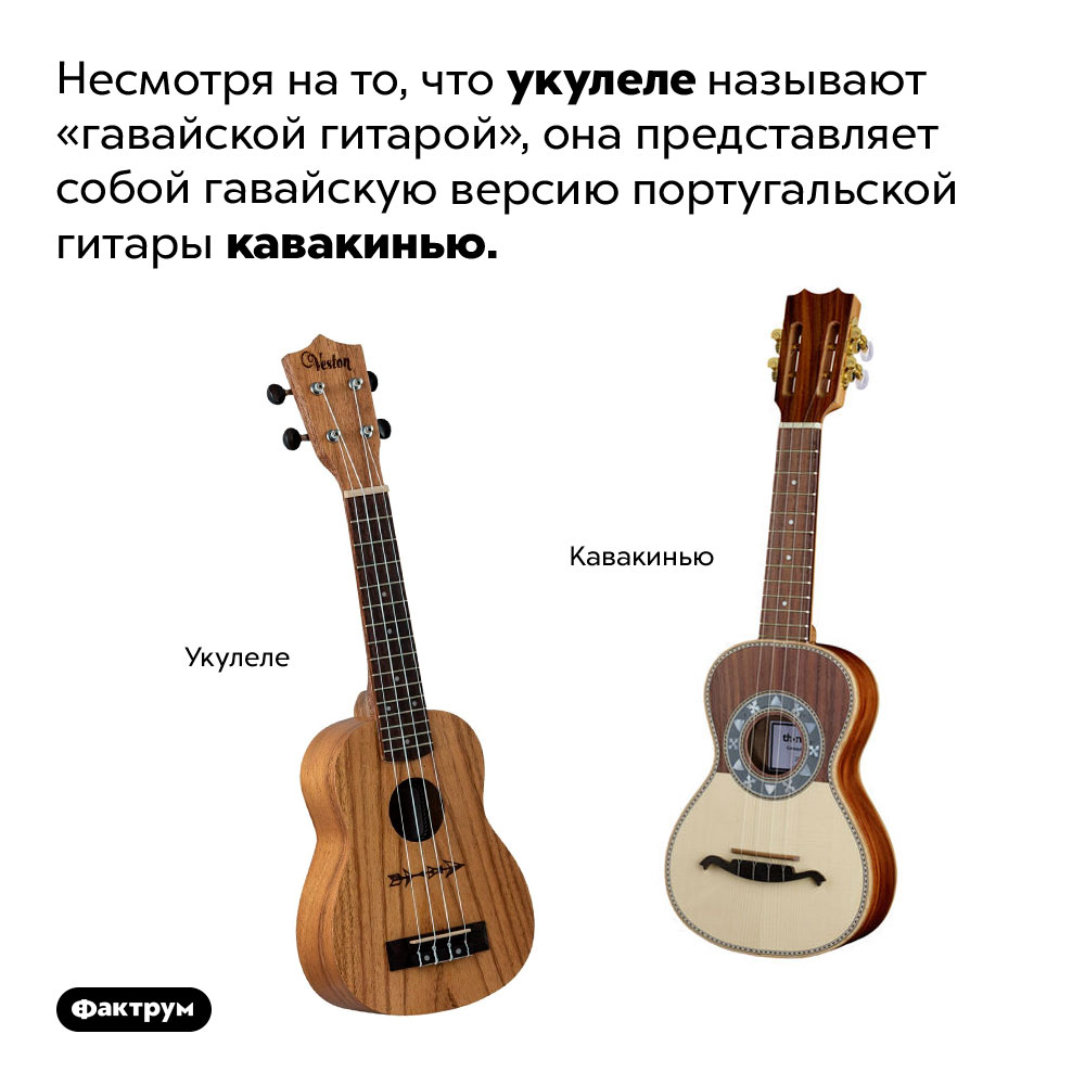 Не совсем гавайская гитара. Несмотря на то, что укулеле называют «гавайской гитарой», она представляет собой гавайскую версию португальской гитары кавакинью.