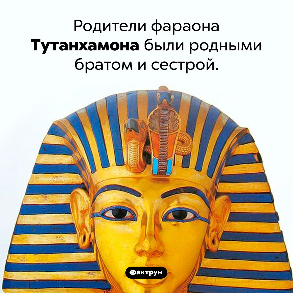 Родители Тутанхамона. Родители фараона Тутанхамона были родными братом и сестрой.