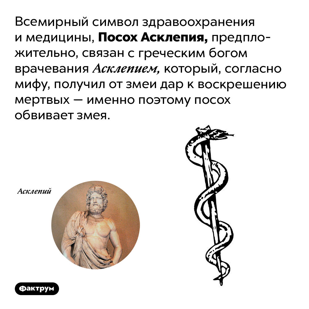 Почему Посох Асклепия обвивает змея. Всемирный символ здравоохранения и медицины, Посох Асклепия, предположительно, связан с греческим богом врачевания Асклепием, который, согласно мифу, получил от змеи дар к воскрешению мертвых — именно поэтому посох обвивает змея.