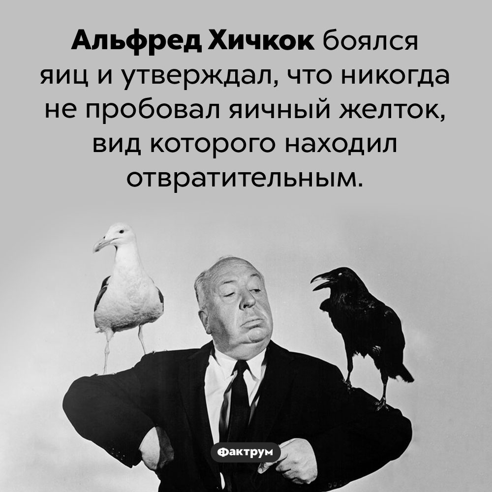 Альфред Хичкок боялся яиц. Альфред Хичкок боялся яиц и утверждал, что никогда не пробовал яичный желток, вид которого находил отвратительным.