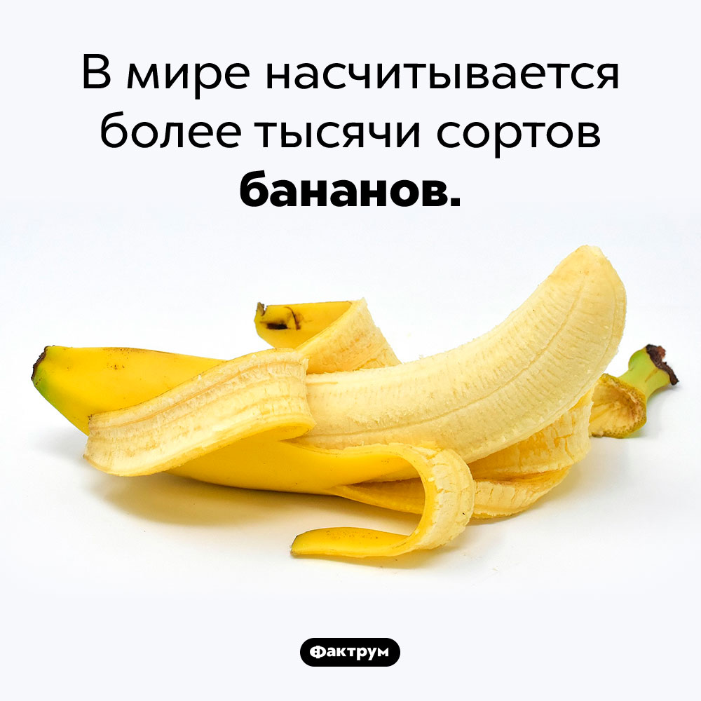 Сколько существует сортов бананов. В мире насчитывается более тысячи сортов бананов.