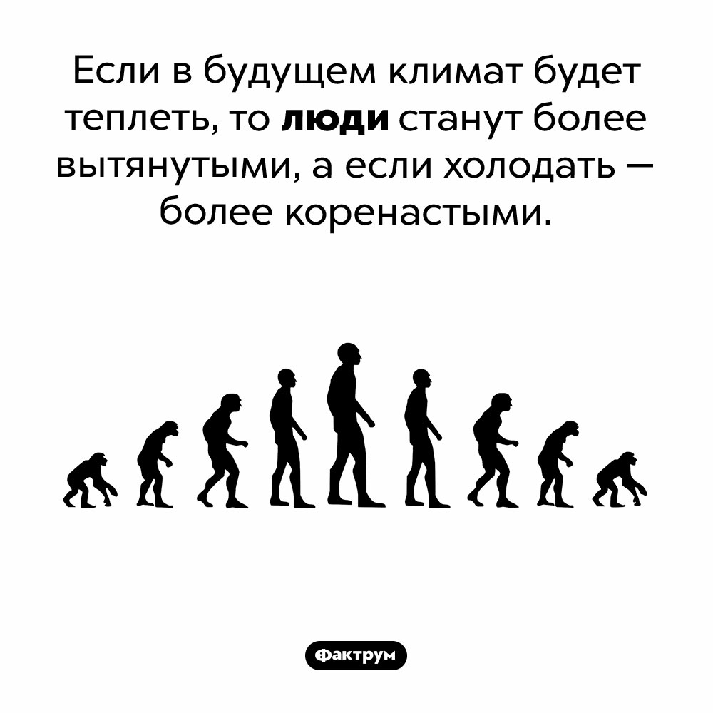 Климат и эволюция человека. Если в будущем климат будет теплеть, то люди станут более вытянутыми, а если холодать – более коренастыми.