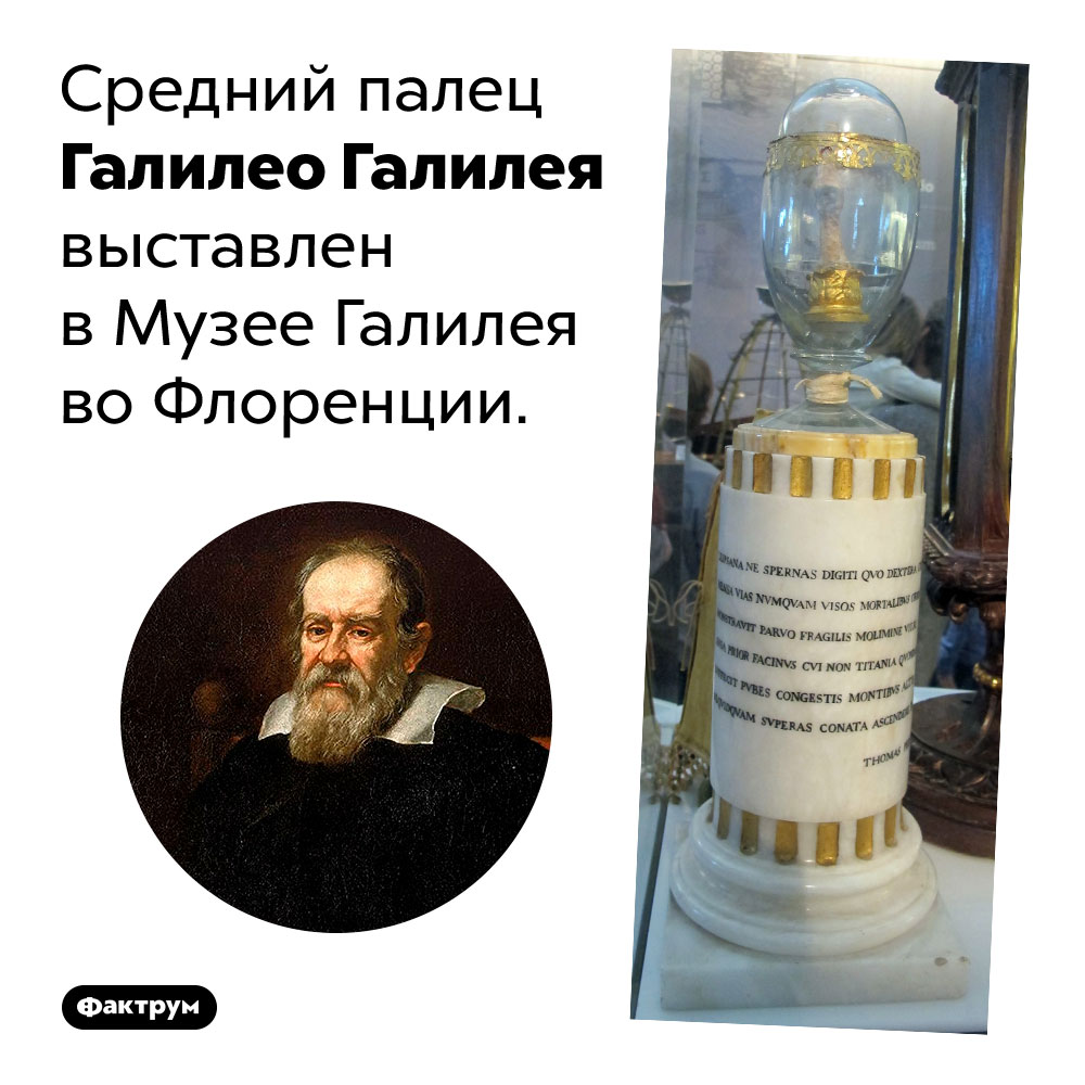 Средний палец Галилея сохранился до наших дней. Средний палец Галилео Галилея выставлен в Музее Галилея во Флоренции.