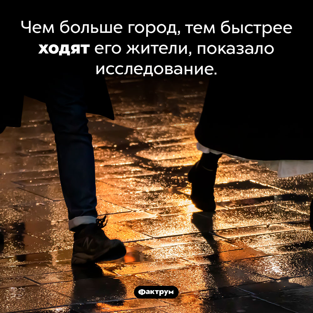 Происхождение слова «орхидея»