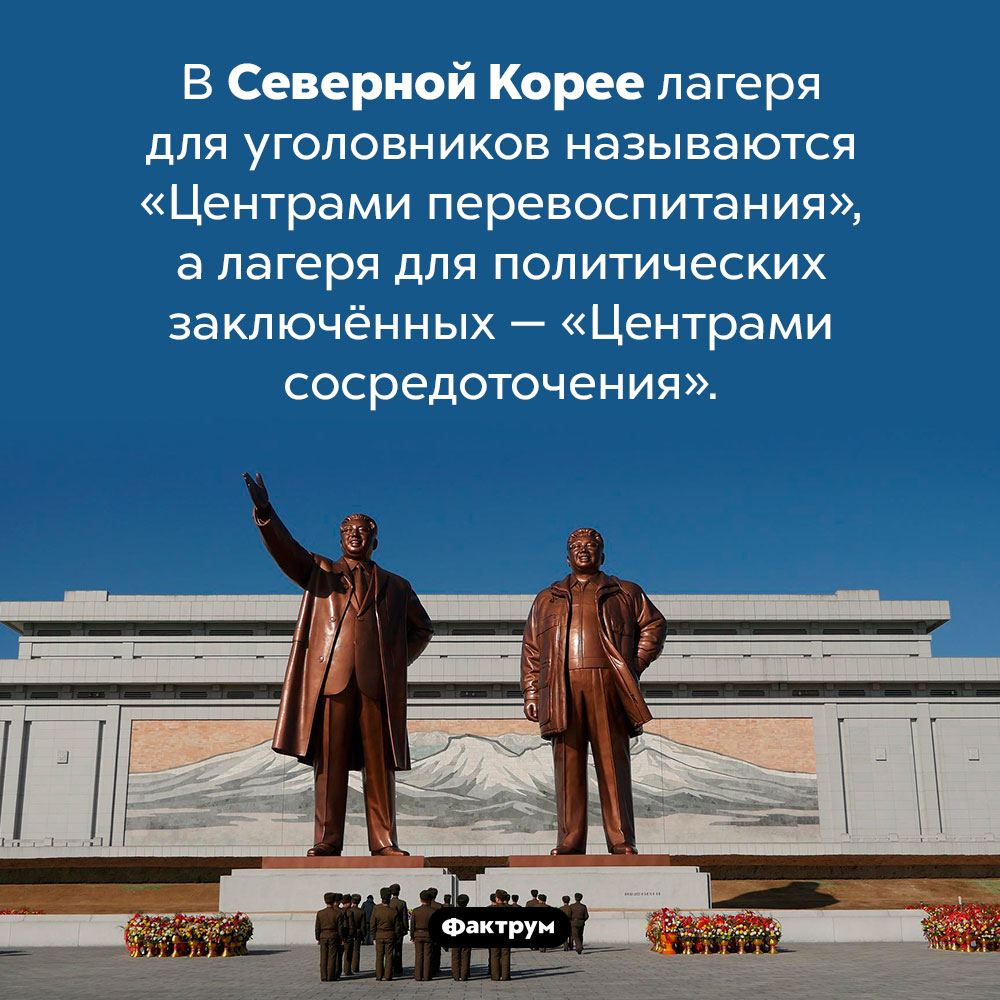 Центры перевоспитания и центры сосредоточения. В Северной Корее лагеря для уголовников называются «Центрами перевоспитания», а лагеря для политических заключённых — «Центрами сосредоточения».