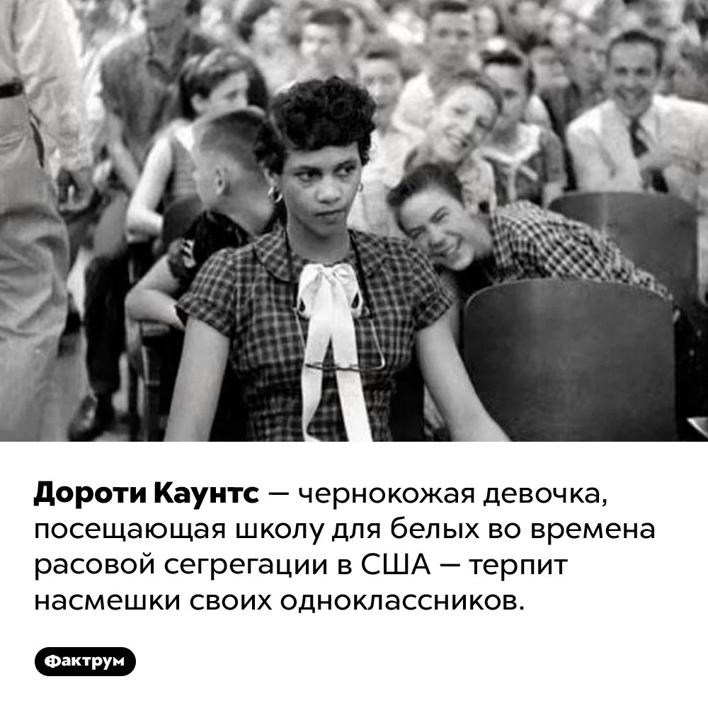 Дороти Каунтс. Дороти Каунтс — чернокожая девочка, посещающая школу для белых во времена расовой сегрегации в США — терпит насмешки своих одноклассников.