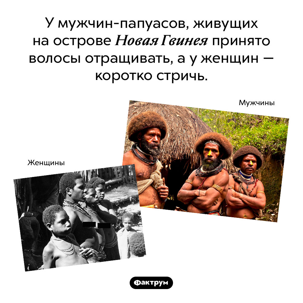 У папуасов всё наоборот. У мужчин-папуасов, живущих на острове Новая Гвинея принято волосы отращивать, а у женщин — коротко стричь.