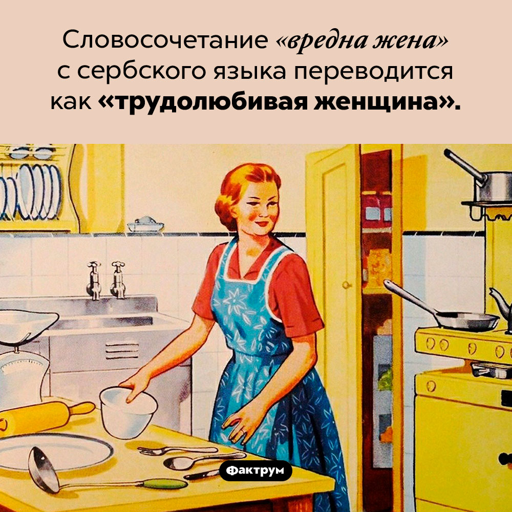 Вредна жена. Словосочетание «вредна жена» с сербского языка переводится как «трудолюбивая женщина».