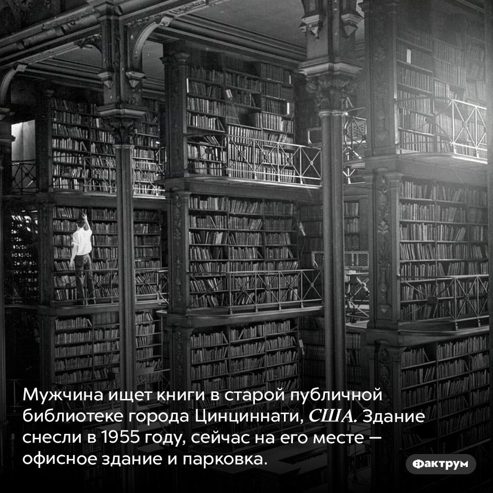 Публичная библиотека города Цинциннати. Мужчина ищет книги в старой публичной библиотеке города Цинциннати, США. Здание снесли в 1955 году, сейчас на его месте — офисное здание и парковка.