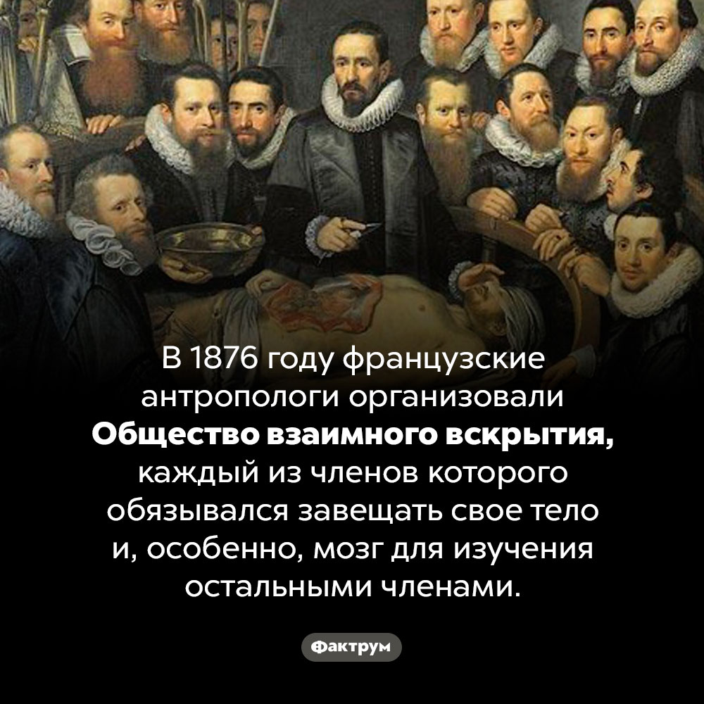 Общество взаимного вскрытия. В 1876 году французские антропологи организовали Общество взаимного вскрытия, каждый из членов которого обязывался завещать свое тело и, особенно, мозг для изучения остальными членами.