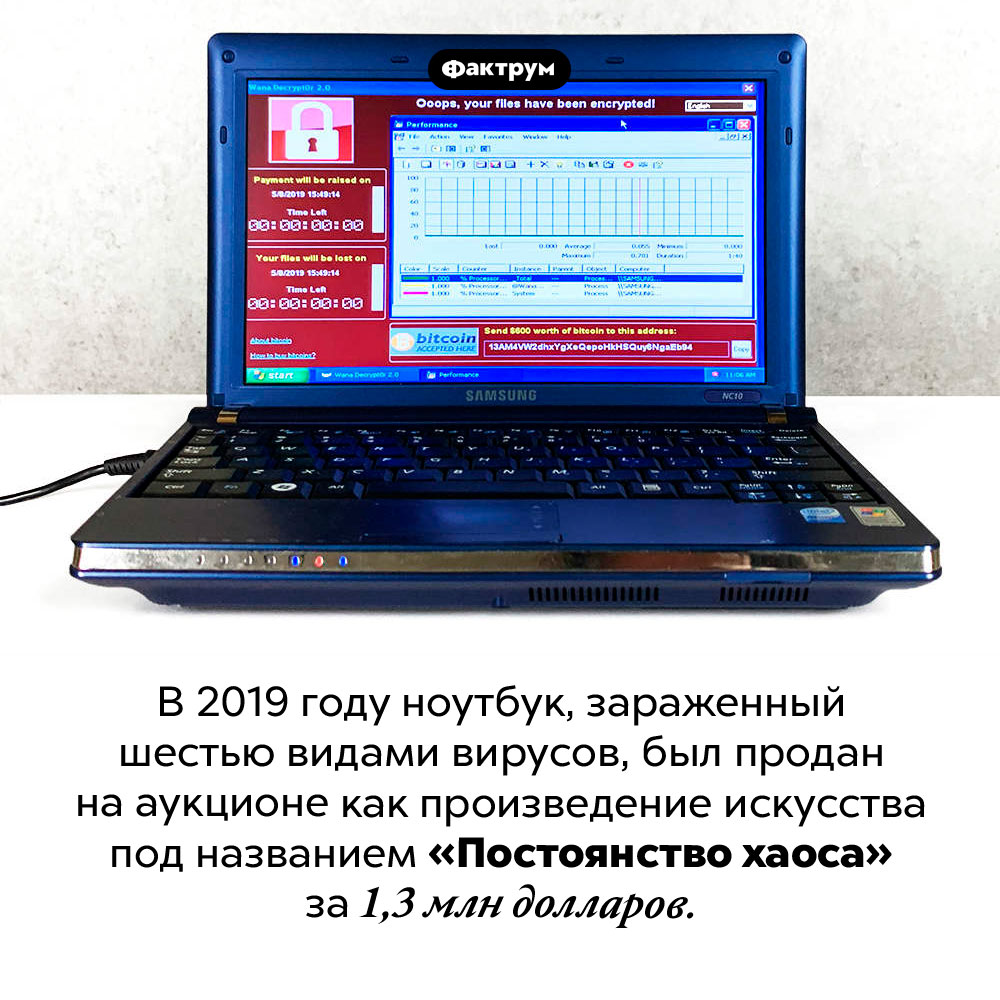 «Постоянство хаоса». В 2019 году ноутбук, зараженный шестью видами вирусов, был продан на аукционе как произведение искусства под названием «Постоянство хаоса» за 1,3 млн долларов.