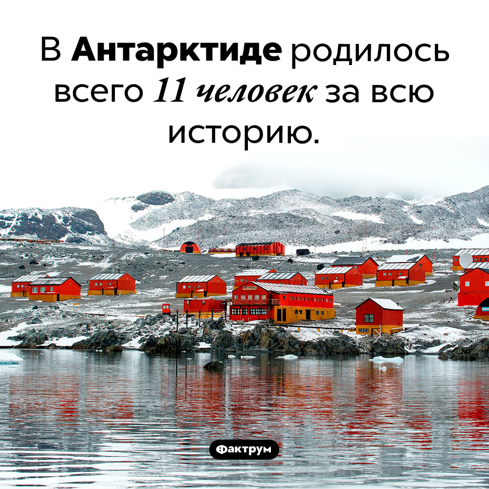 Сколько людей родилось в Антарктиде. В Антарктиде родилось всего 11 человек за всю историю.