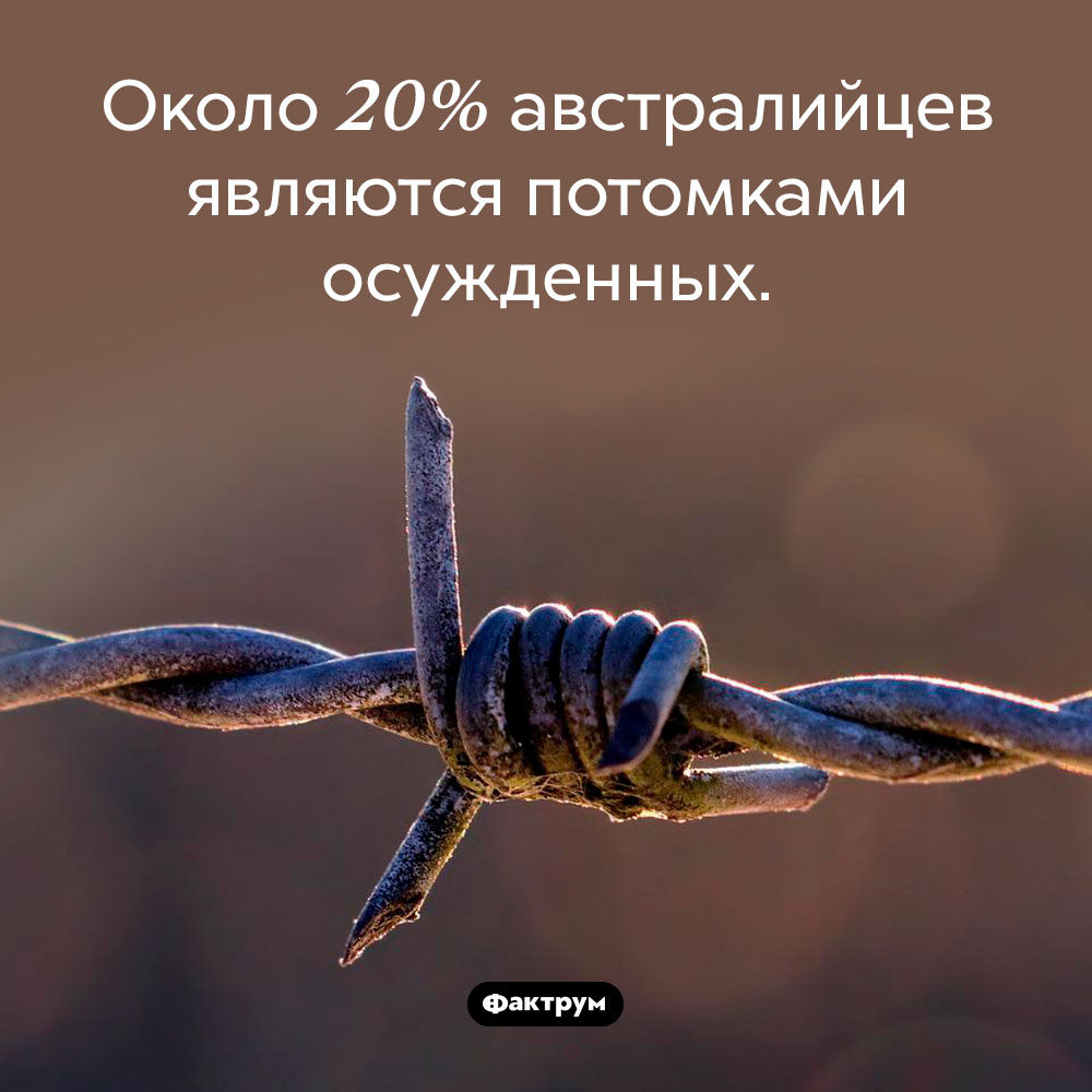 Кем является пятая часть всех австралийцев. Около 20% австралийцев являются потомками осужденных.