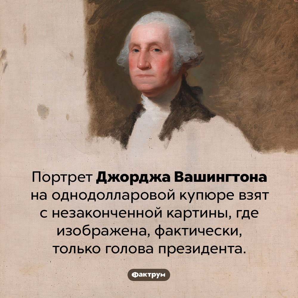 Откуда взят портрет Вашингтона на долларовой купюре. Портрет Джорджа Вашингтона на однодолларовой купюре взят с незаконченной картины, где изображена, фактически, только голова президента.