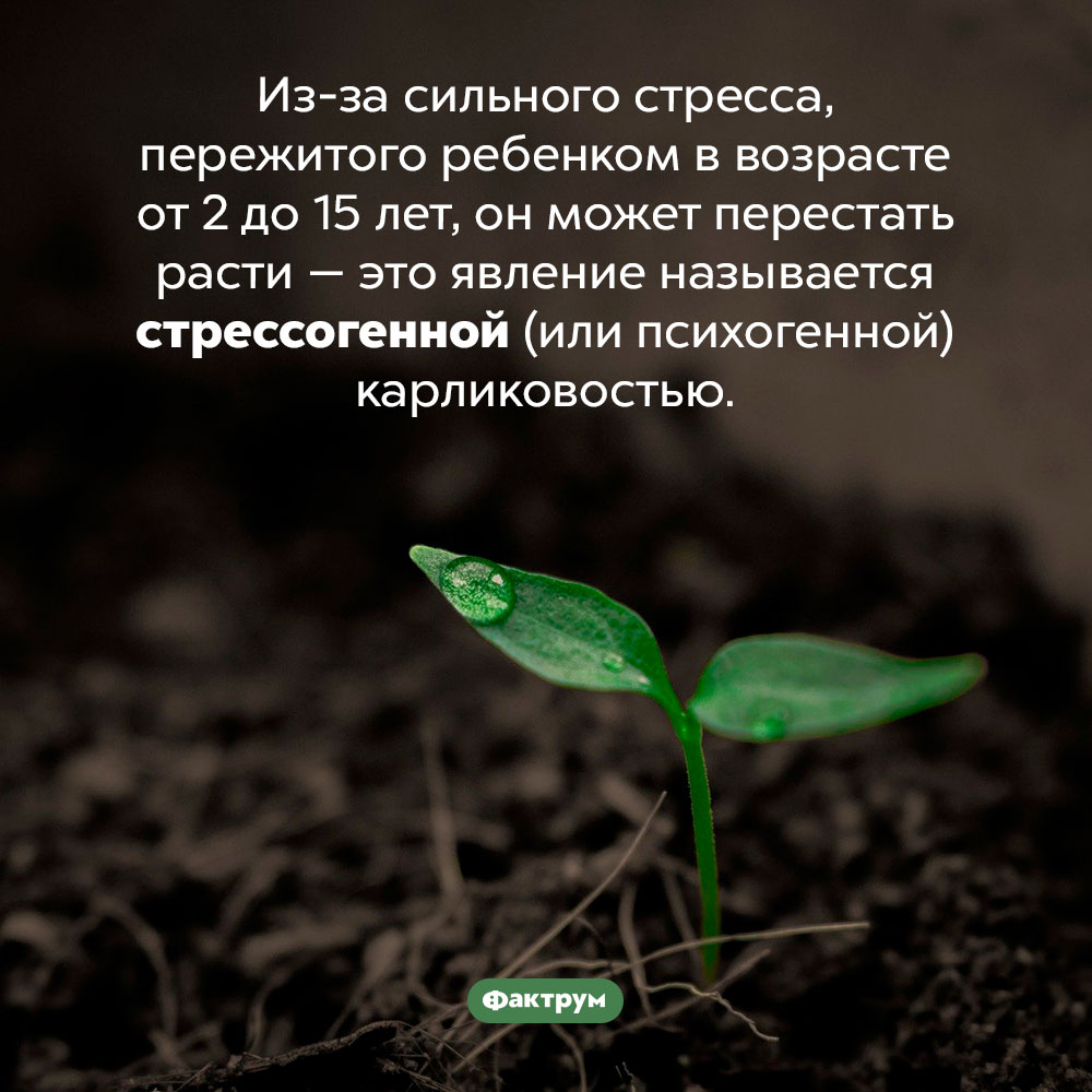 Стрессогенная карликовость. Из-за сильного стресса, пережитого ребенком в возрасте от 2 до 15 лет, он может перестать расти — это явление называется стрессогенной (или психогенной) карликовостью.