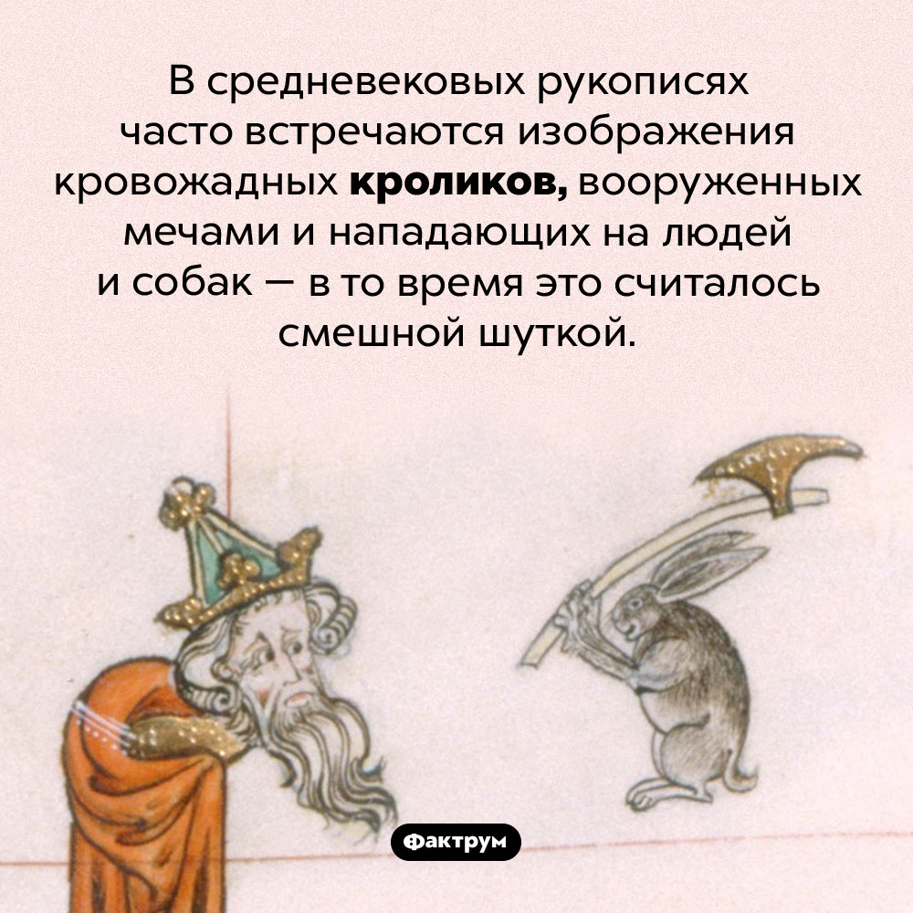 Кровожадные кролики — это шутка. В средневековых рукописях часто встречаются изображения кровожадных кроликов, вооруженных мечами и нападающих на людей и собак — в то время это считалось смешной шуткой.