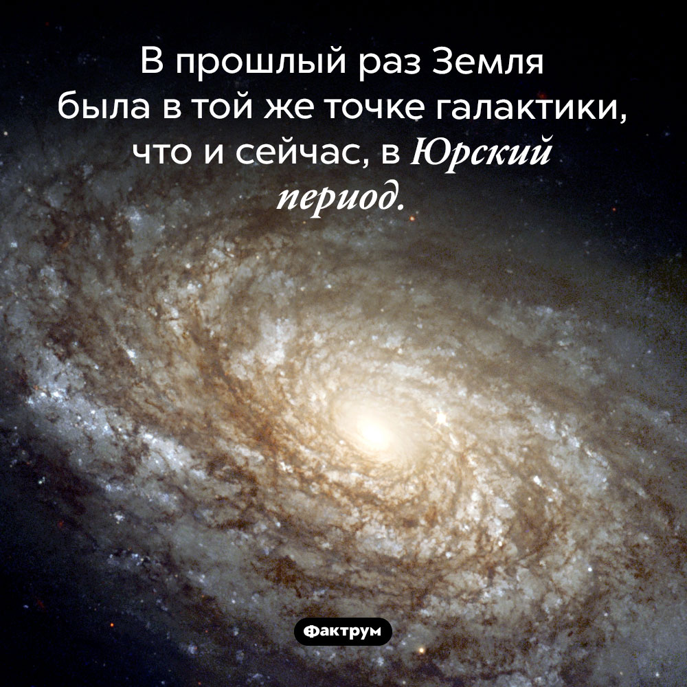 Сейчас мы там же, где были в Юрский период. В прошлый раз Земля была в той же точке галактики, что и сейчас, в Юрский период.