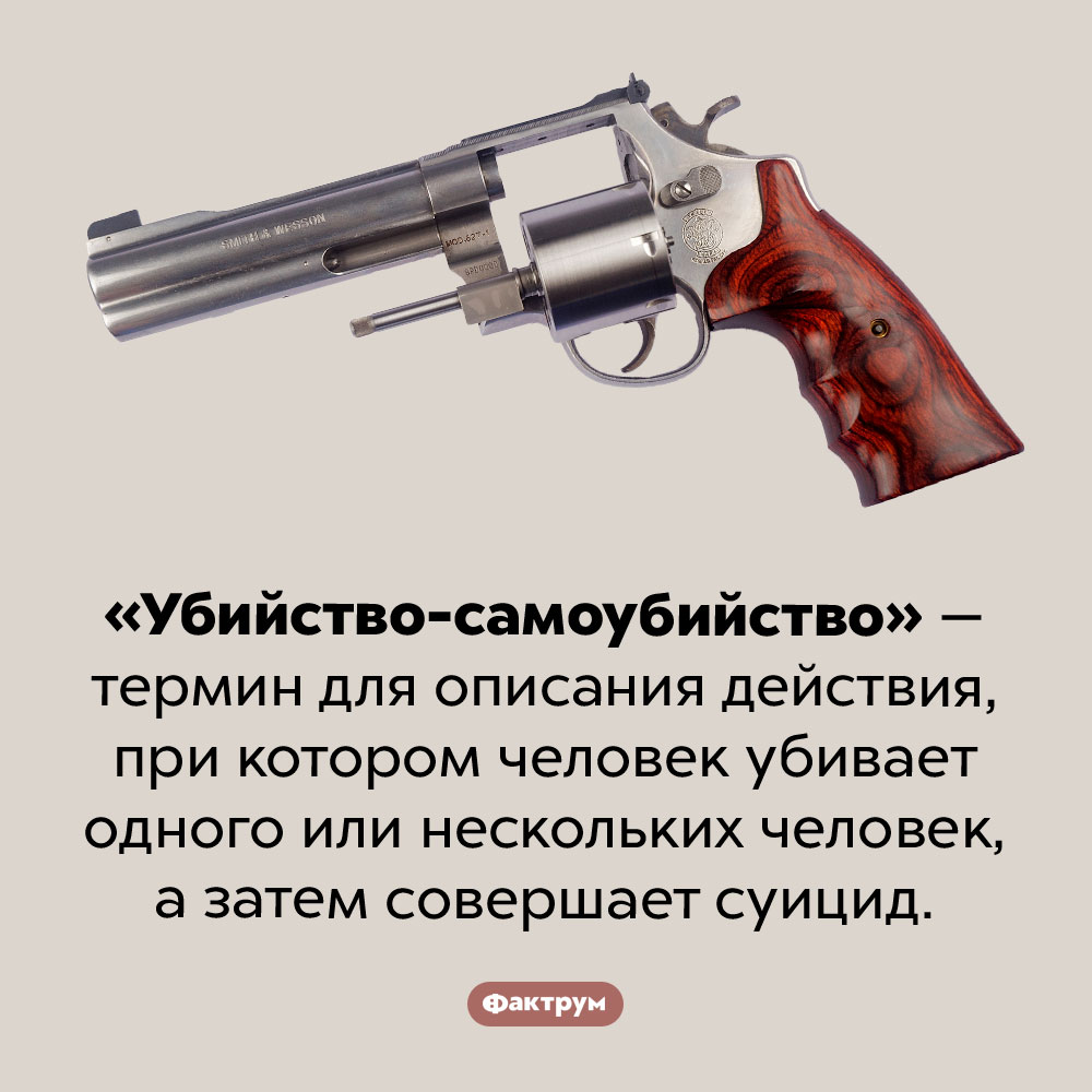 Что такое «убийство-самоубийство». «Убийство-самоубийство» — термин для описания действия, при котором человек убивает одного или нескольких человек, а затем совершает суицид.