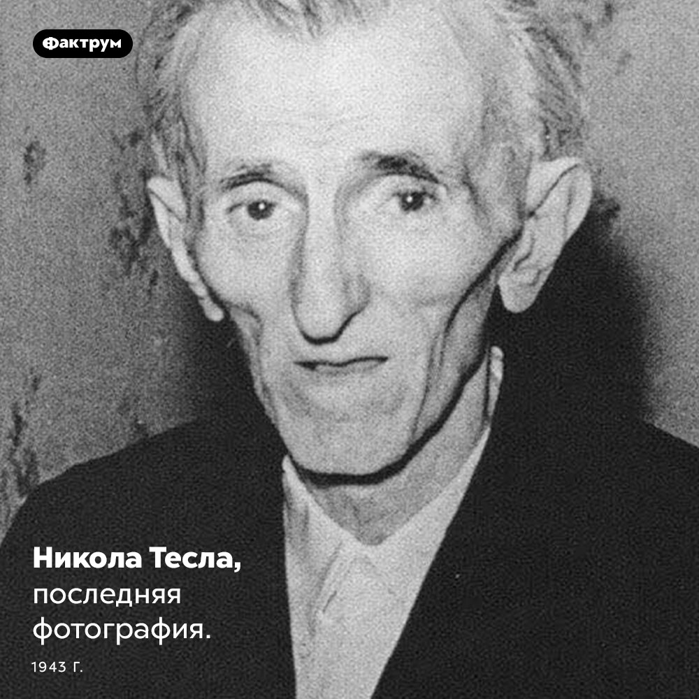 Никола Тесла в старости. Никола Тесла, последняя фотография. 1943 год.