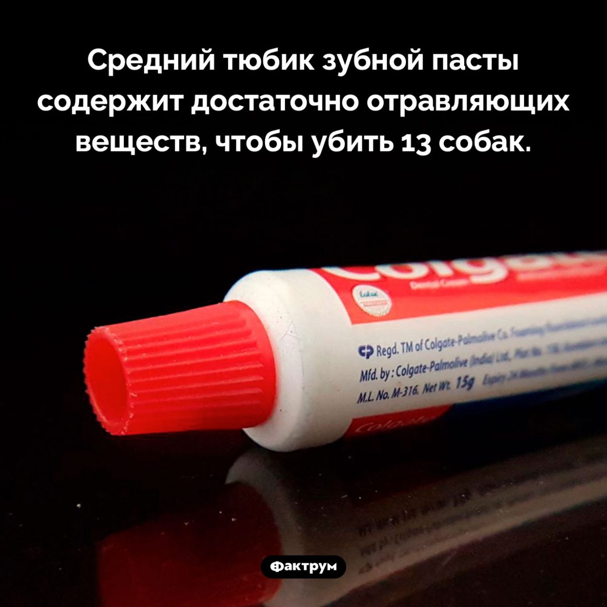 Зубная паста ядовита для собак. Средний тюбик зубной пасты содержит достаточно отравляющих веществ, чтобы убить 13 собак.