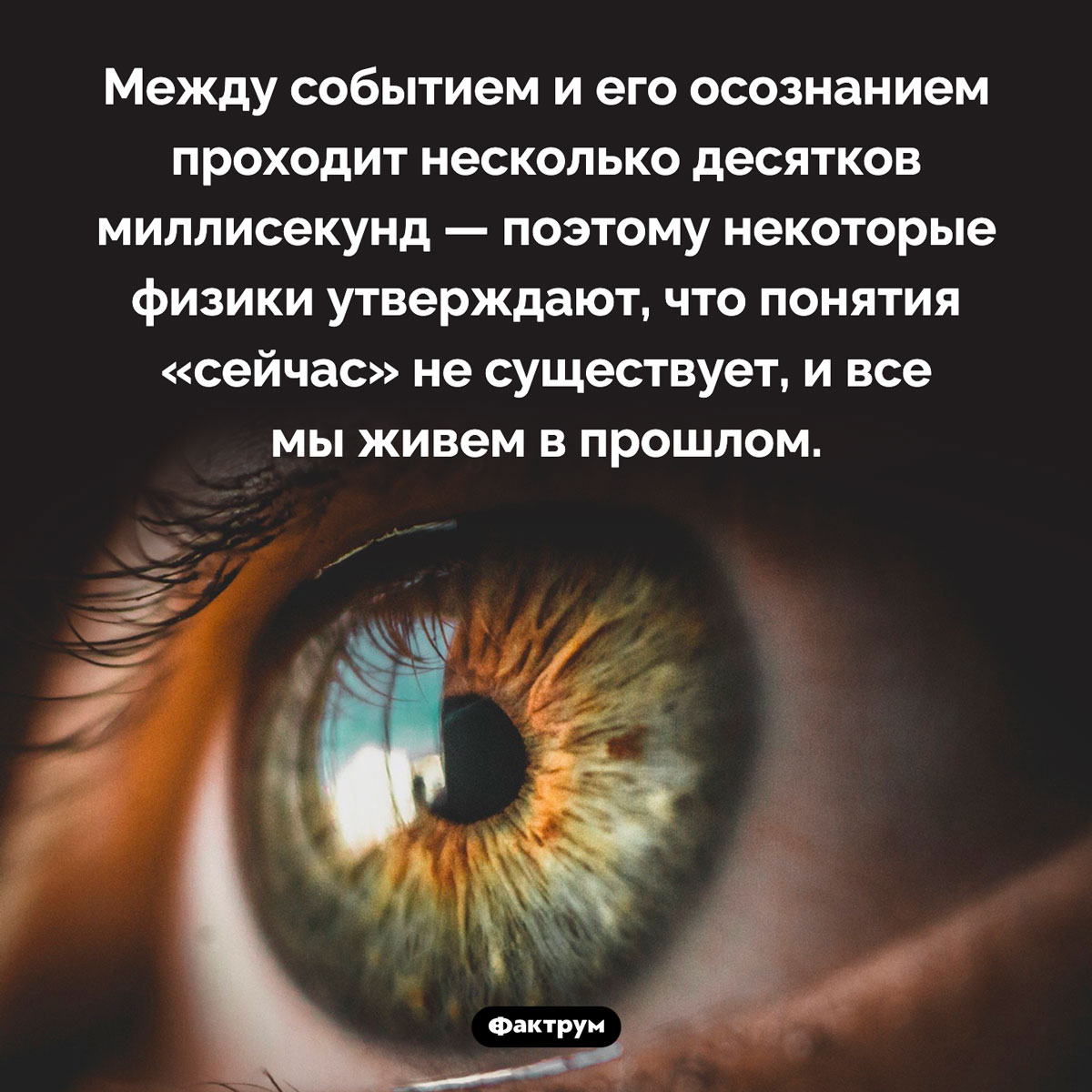 Все мы живем в прошлом. Между событием и его осознанием проходит несколько десятков миллисекунд — поэтому некоторые физики утверждают, что понятия «сейчас» не существует, и все мы живем в прошлом.