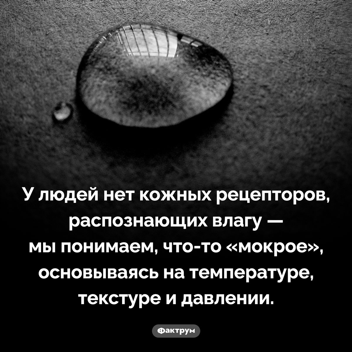 Люди не могут ощущать влагу. У людей нет кожных рецепторов, распознающих влагу — мы понимаем, что-то «мокрое», основываясь на температуре, текстуре и давлении.