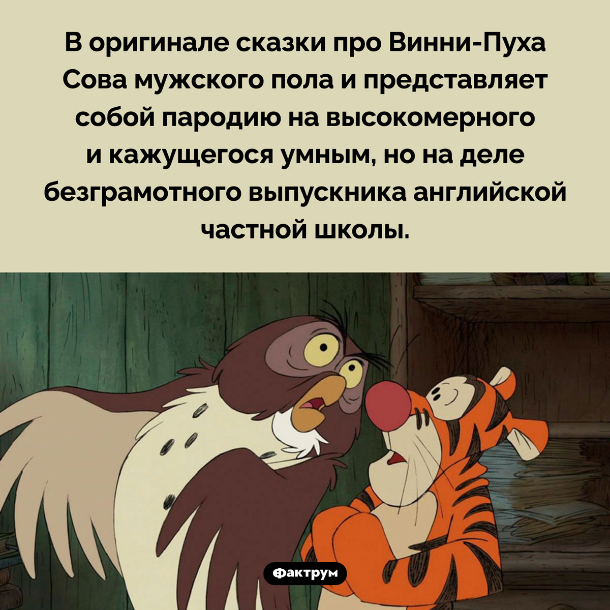 Кто такой Сова. В оригинале сказки про Винни-Пуха Сова мужского пола и представляет собой пародию на высокомерного и кажущегося умным, но на деле безграмотного выпускника английской частной школы.