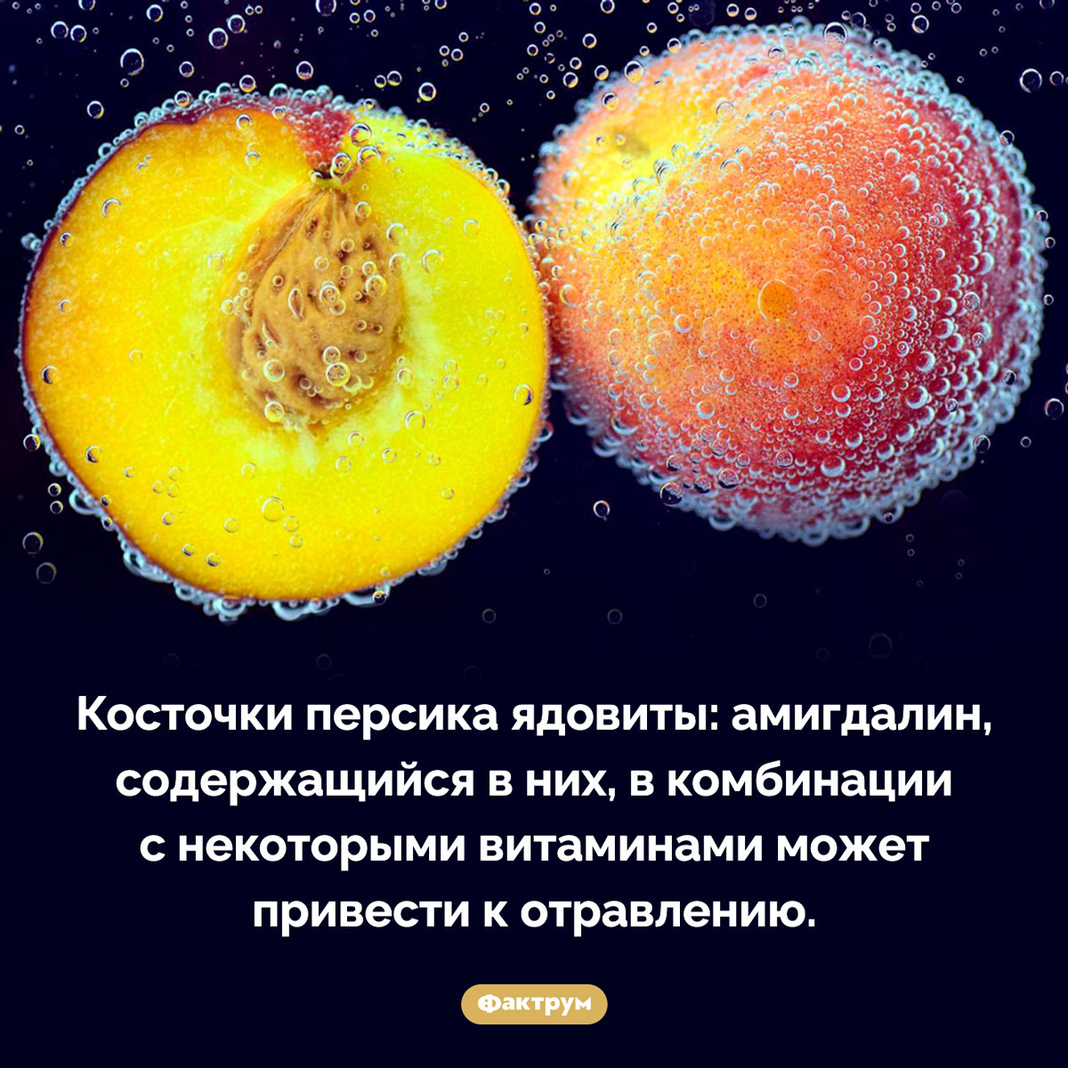 Косточки персика ядовиты. Косточки персика ядовиты: амигдалин, содержащийся в них, в комбинации с некоторыми витаминами может привести к отравлению.