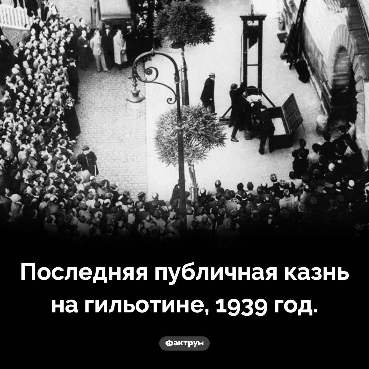 Публичная казнь. Последняя публичная казнь на гильотине, 1939 год.