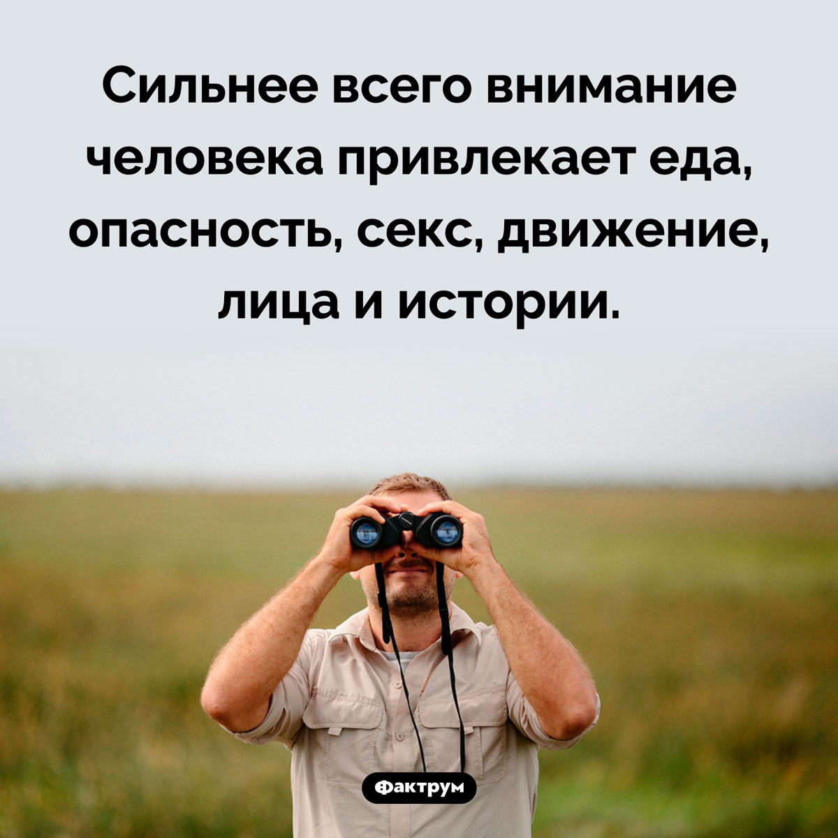 Что привлекает внимание сильнее всего. Сильнее всего внимание человека привлекает еда, опасность, секс, движение, лица и истории.