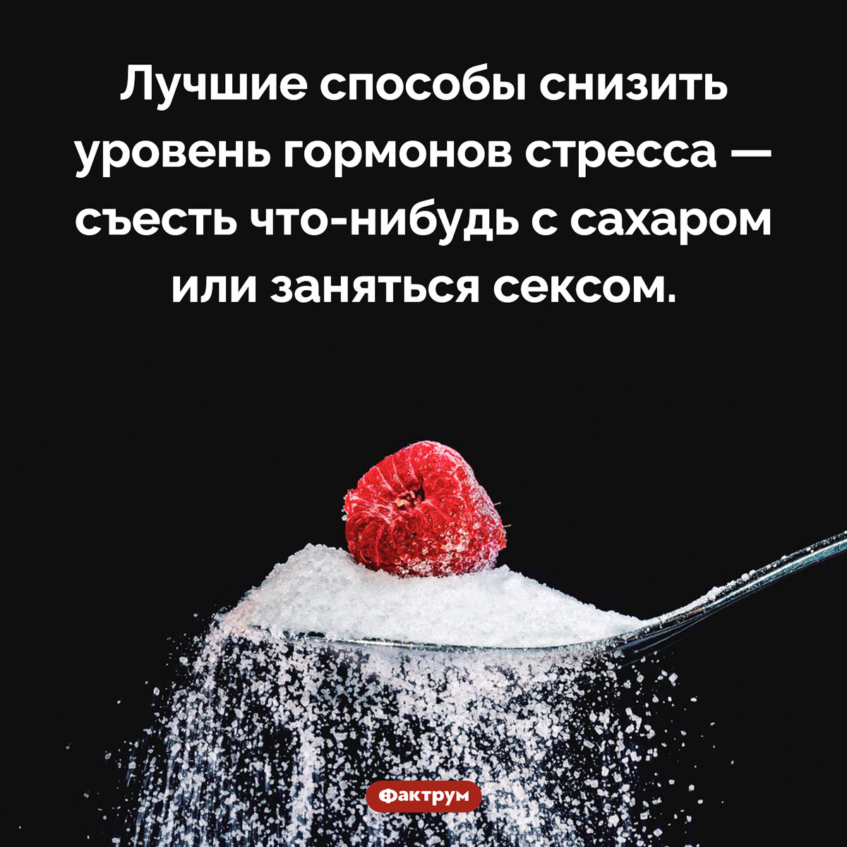 Как избавиться от стресса. Лучшие способы снизить уровень гормонов стресса — съесть что-нибудь с сахаром или заняться сексом.