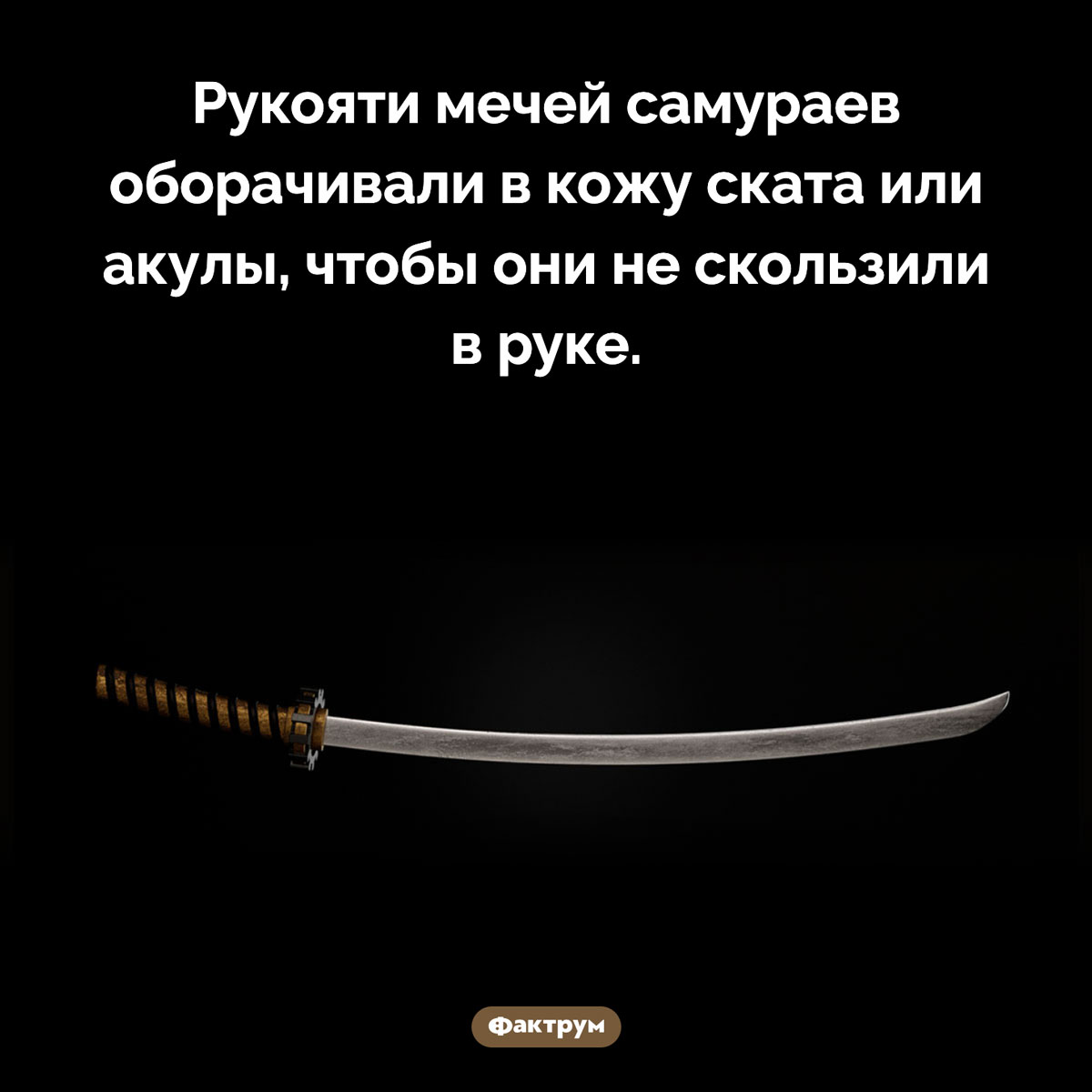 В Японии кожа ската использовалась для мечей. Рукояти мечей самураев оборачивали в кожу ската или акулы, чтобы они не скользили в руке.