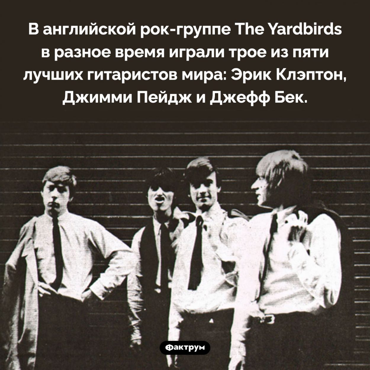 Плодовитая рок-группа. В английской рок-группе The Yardbirds в разное время играли трое из пяти лучших гитаристов мира: Эрик Клэптон, Джимми Пейдж и Джефф Бек.