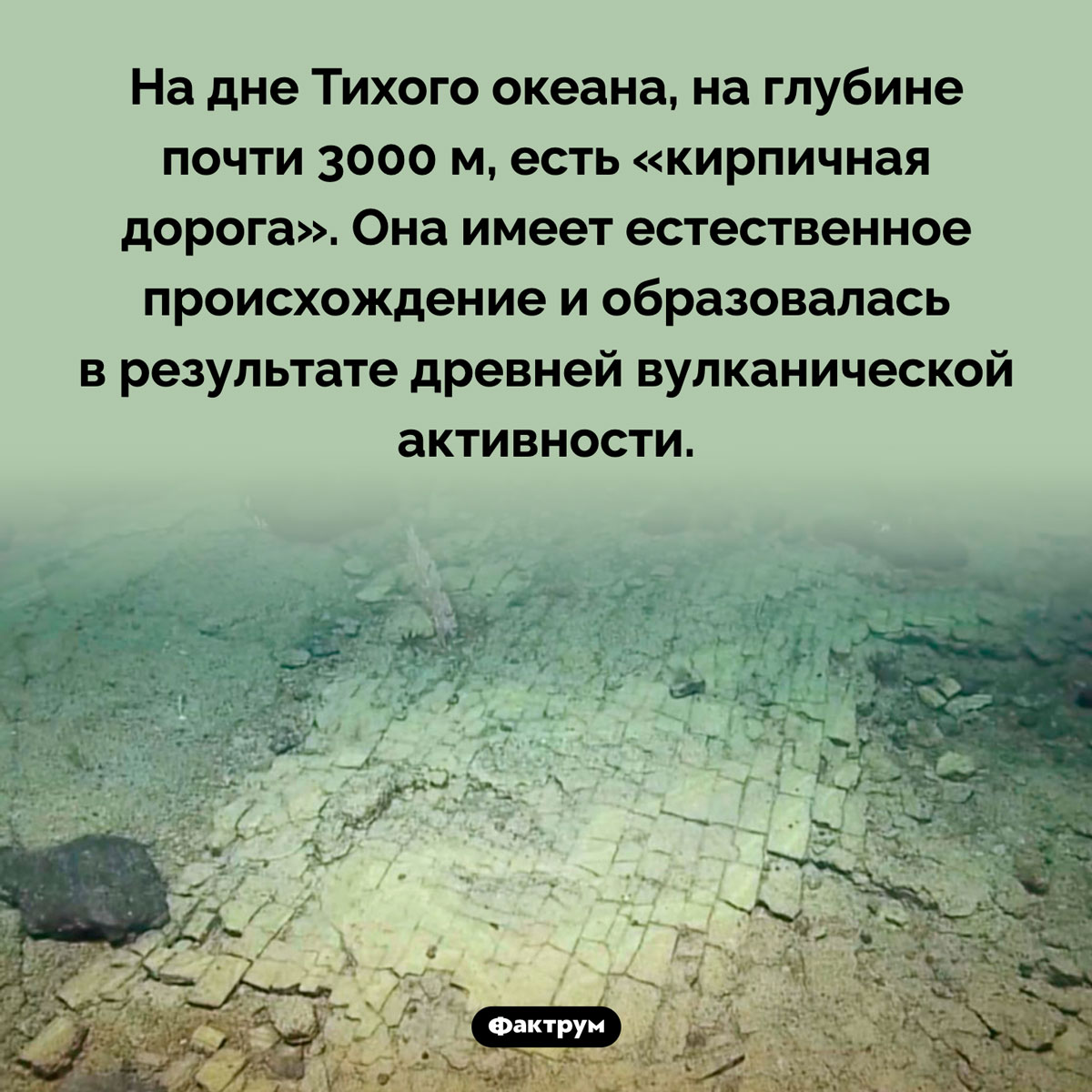 Дорога на дне океана. На дне Тихого океана, на глубине почти 3000 м, есть «кирпичная дорога». Она имеет естественное происхождение и образовалась в результате древней вулканической активности.