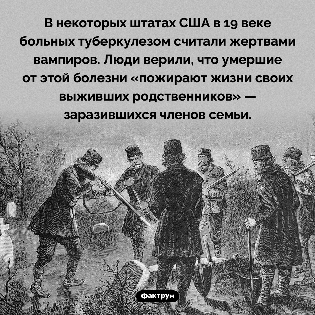 Кого в США считали вампирами. В некоторых штатах США в 19 веке больных туберкулезом считали жертвами вампиров. Люди верили, что умершие от этой болезни «пожирают жизни своих выживших родственников» — заразившихся членов семьи.