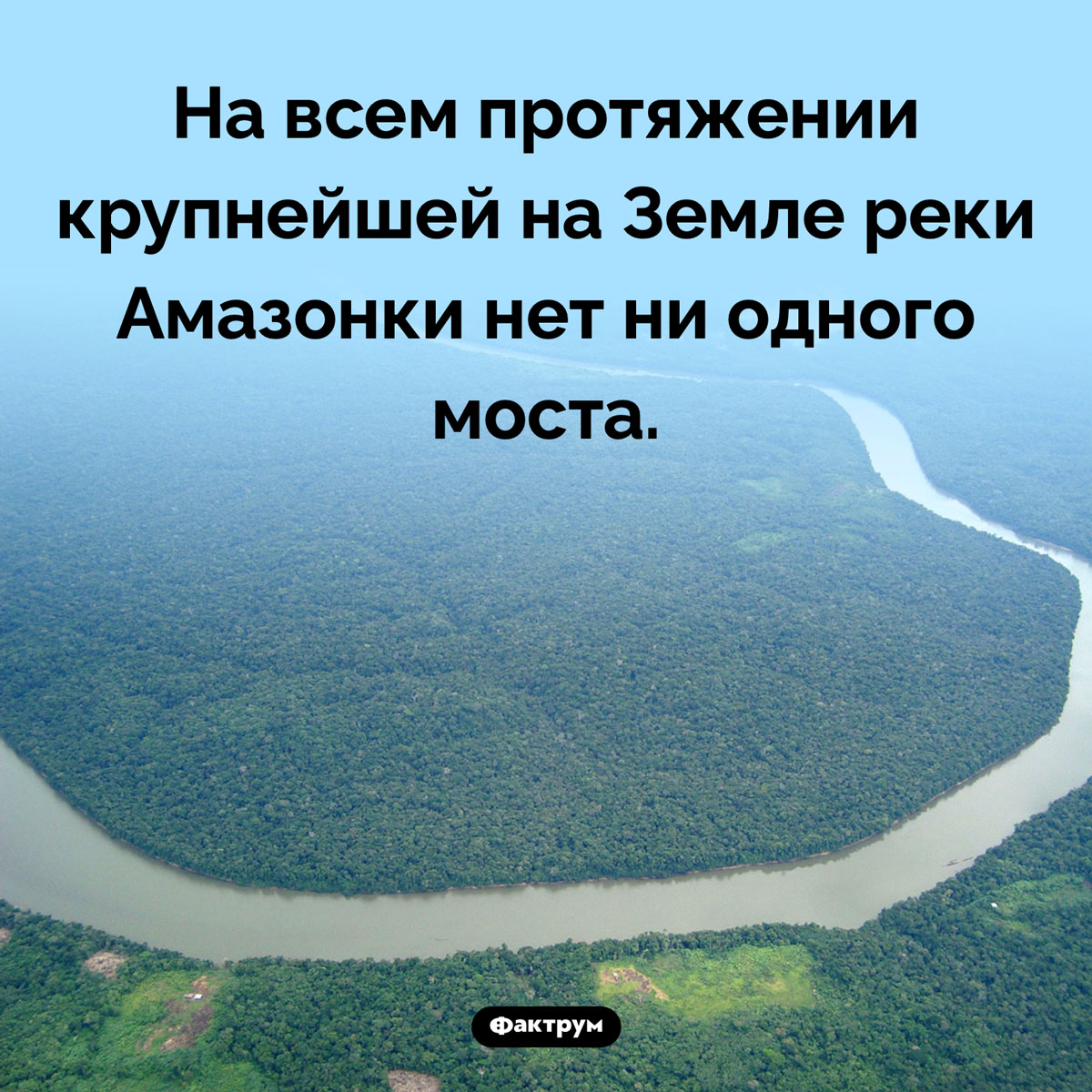 Через Амазонку нет мостов. На всем протяжении крупнейшей на Земле реки Амазонки нет ни одного моста.